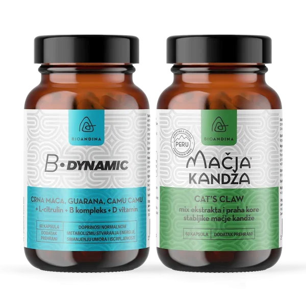 PROTECT YOUR ENERGY: Snaga i oporavak metabolizma